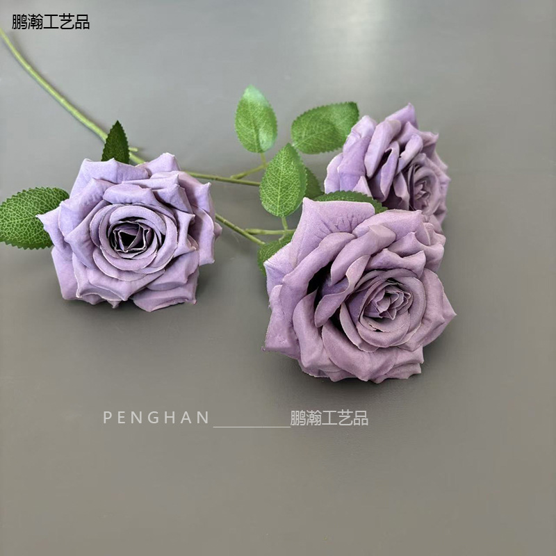 보라색