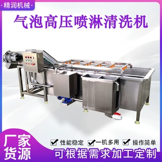 全自动气泡清洗机不锈钢果蔬清洗器果蔬加工流水线小型清洗机定制