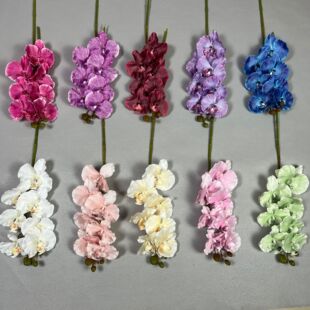 ��ɫ��������m��c�zӰ���߻��Ҿ�ܛ�b�廨���컨�����S�����l