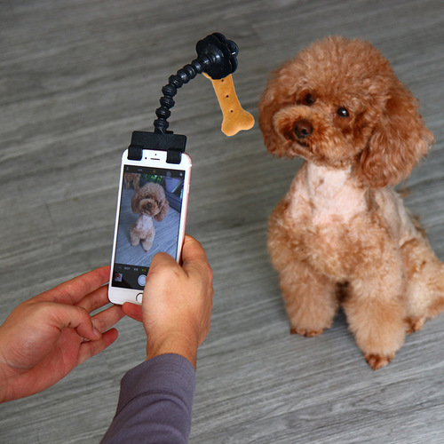 Pet Selfie Artifact Cat and Dog Look at the Lens Snapshot Toy Pet Camera Phone Clip Pet Selfie Stick