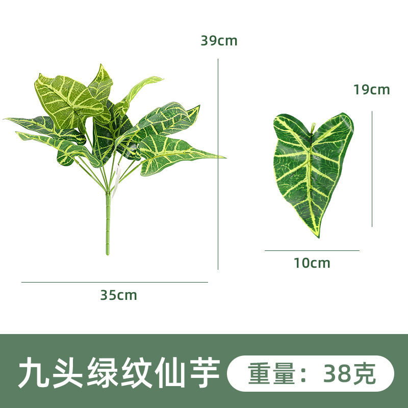 YH161-300-9 아홉 머리 녹색 불멸의 타로