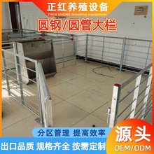 养殖场养殖设备育肥大栏圆钢圆管 整体热镀锌大栏