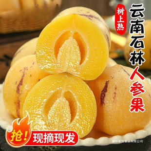 ���ʯ���˅���5��������r�����r�˅����߲��S��A�����������]