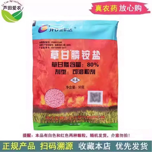 50�� ���_�ݸ��ײݸ�좲ݸ��ך��݄����݄��s�ݚ��݄�