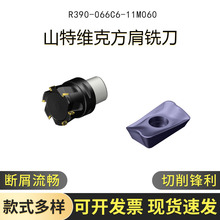 R390-066C6-11M060 ɽ�ؾS�˿ɘ��M����Һ�����Dλ㊵���