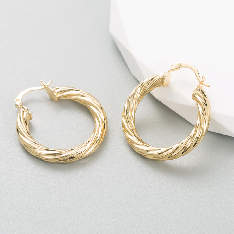 Fashion Geometric Titanium Steel Hoop Earrings Plating Stainless Steel Earrings