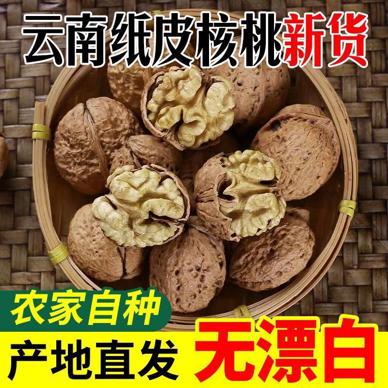 云南核桃年新货纸皮薄壳无漂白纸皮干山核桃纸壳批发代发
