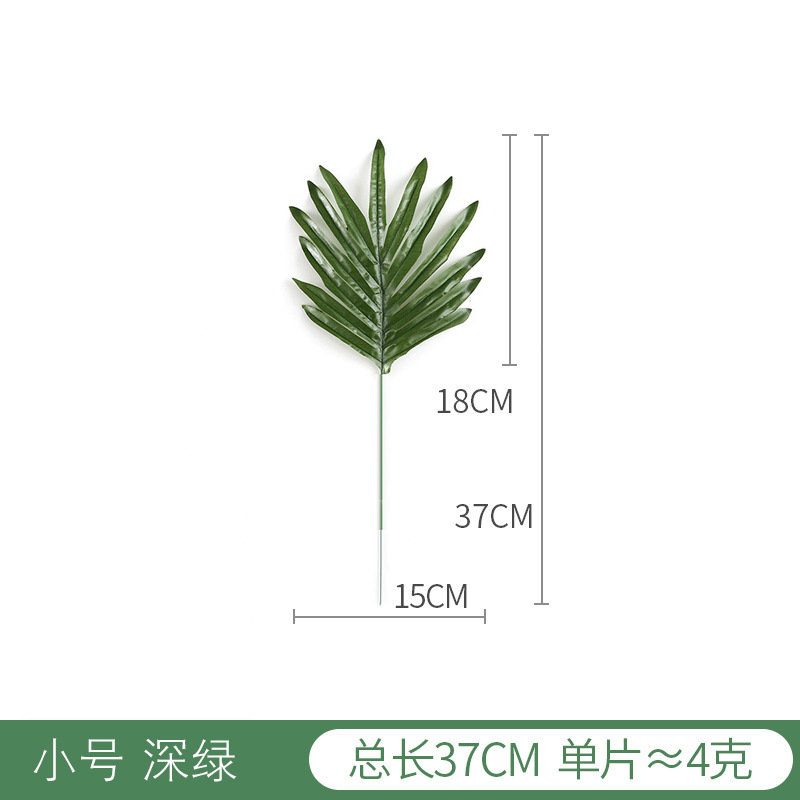 Tamaño pequeño Verde Sauce verde oscuro A00557