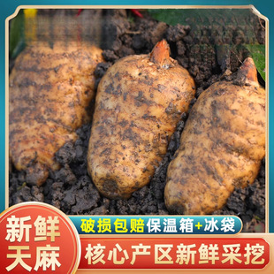 �������r�����ͨС�݉η�Ұ������5g�ڰl��Ş��