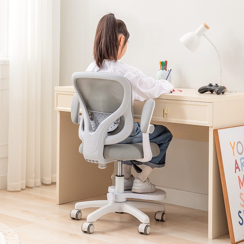 Children's Learning Chair, Special Writing Chair for Primary School Students, Special Backrest for Correcting Sitting Posture, Adjustable Desk Chair