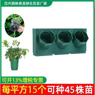 �䳲ֲ��Nֲ�д�ֱ���w�G��������⹤�̇�����ֲ��Gֲ��