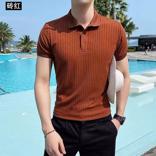 Ins Youth Crew Neck T-Shirt Plaid Knit Polo Shirt Short Sleeve Trendy Brand Summer Top Fashion Men's T-Shirt