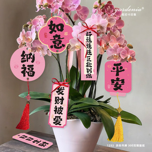 ��ɫ�lؔף����������{���������ֵ�����������m��ޥ�m�b�