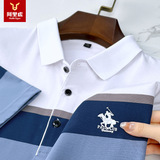 阿里虎 Летняя футболка polo, с вышивкой, принт, короткий рукав