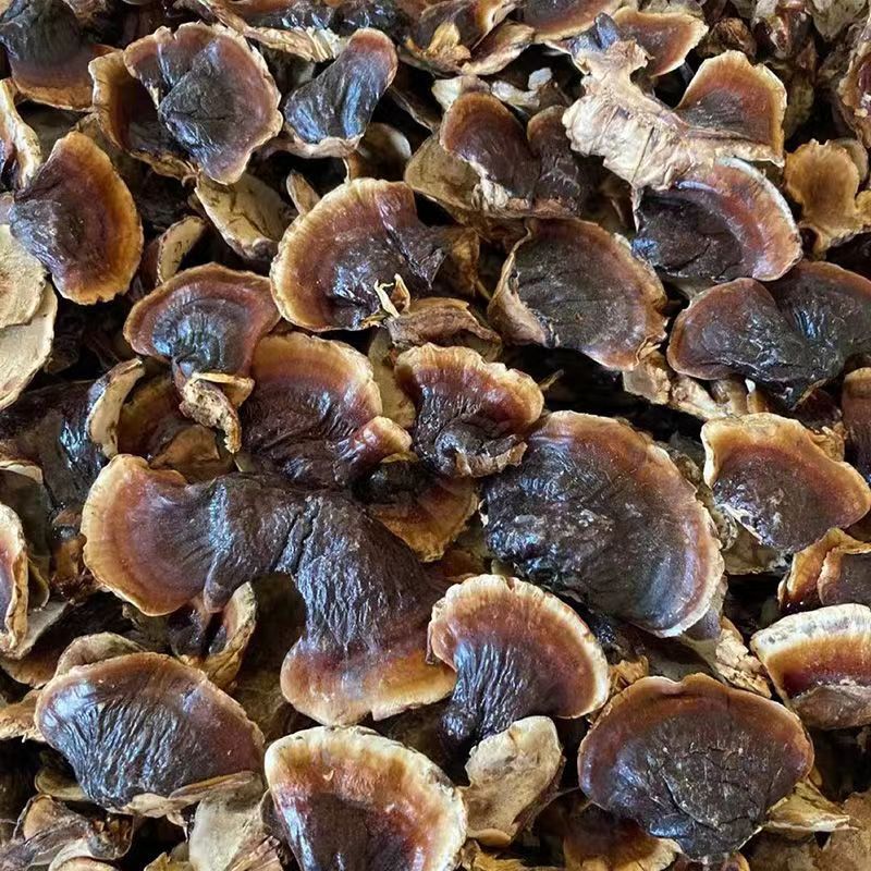 Changbai Mountain Reishi Young Buds Ling Zhi 500g Dried Slices for Soup and Hot Pot overview