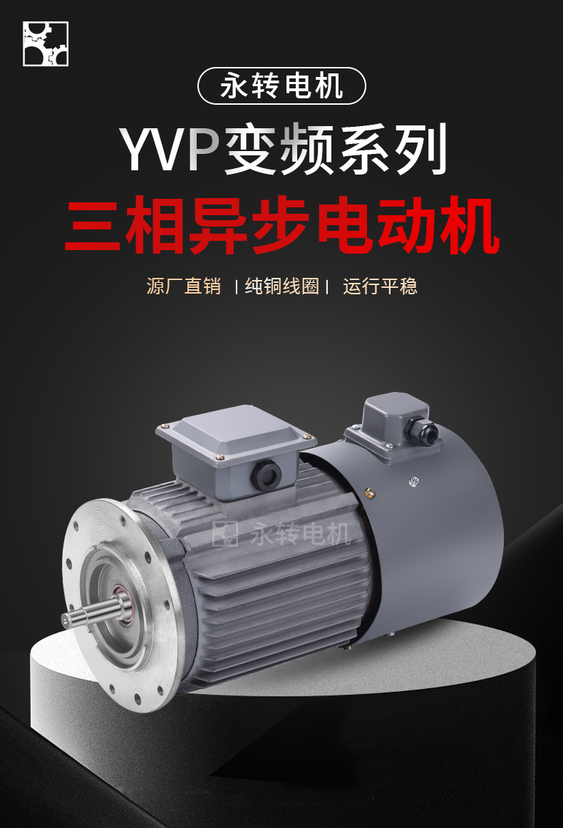 变频调速三相异步电动机