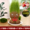 Style 5