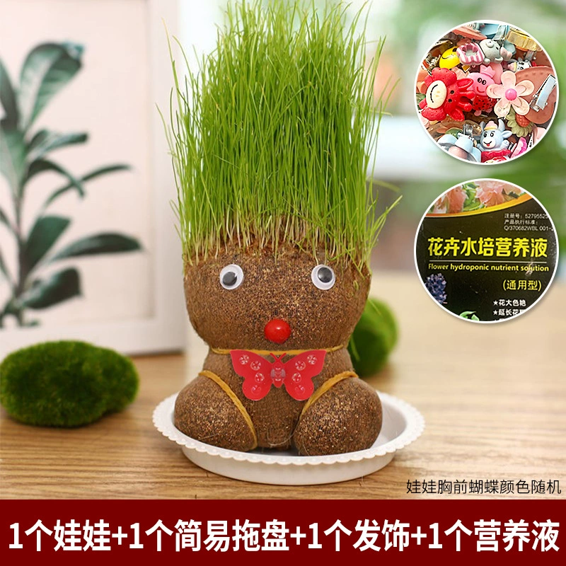 [批发草头娃娃浇水头上长草人绿植长头发儿童好养种草幼儿园桌面小]