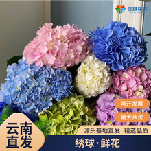 �����r�����l��ϻ���ֱ�l��Y���DIY��c�����r�����û���