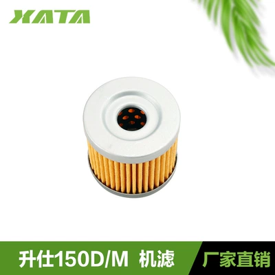 Shengshi Pedal Motorcycle Oil filter