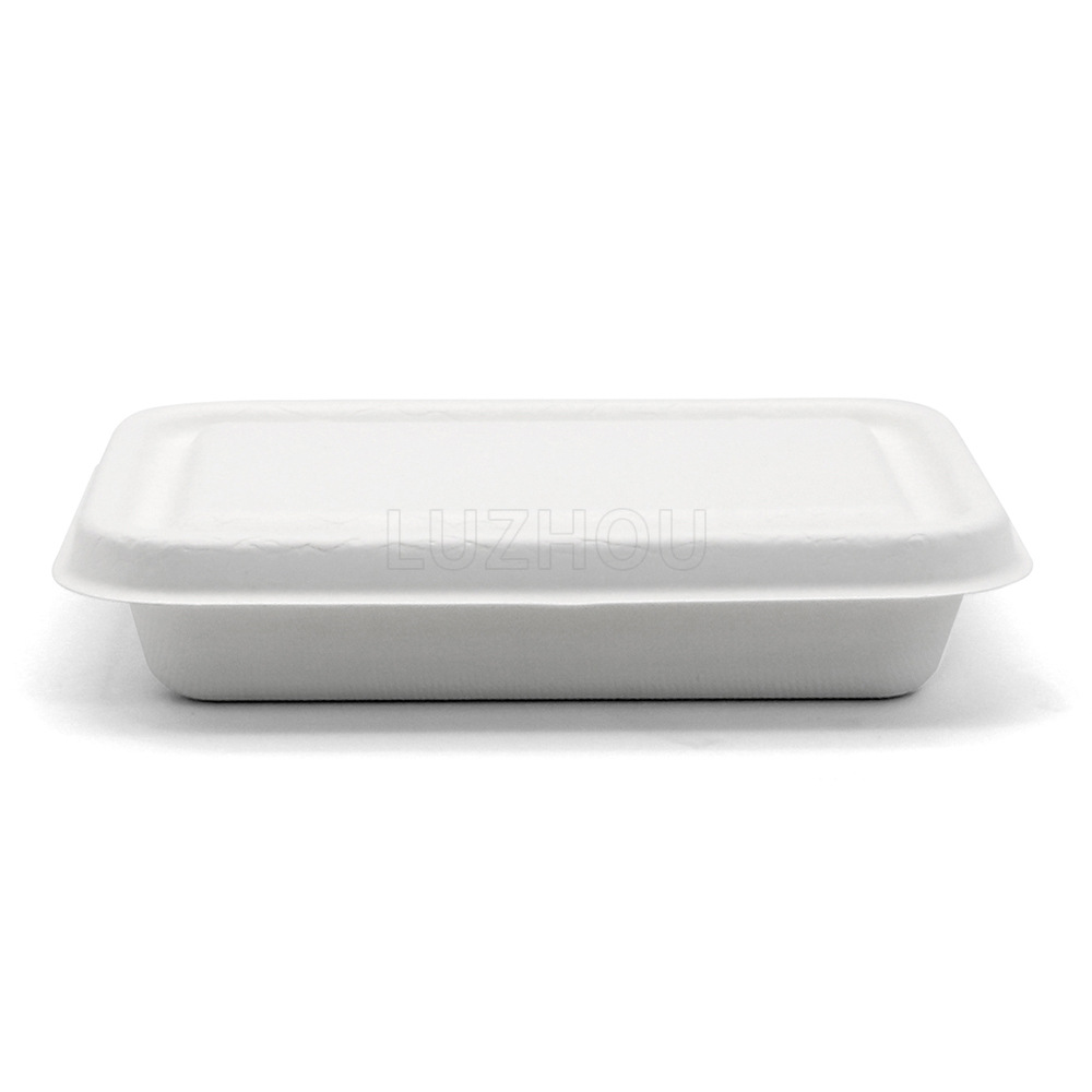 Shaogeng oasis Pulpa de caña de azúcar protección del medio ambiente desechable vajilla borde estrecho 500ml caja cuadrada degradable compostable