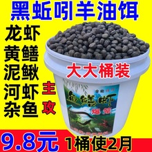 �����D���ź��w���T�D���r�\���~�W�\�S�X�T�Dץ���r���r���q�D