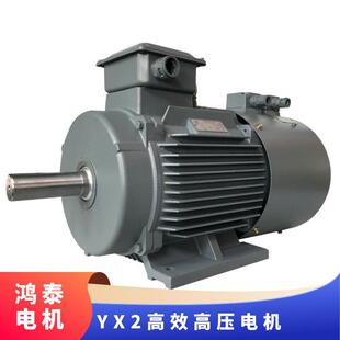 ��̩�߉����ஐ��늙C	YX2-5004-4	800KW	10KV	䓰庸����ʽ�C��