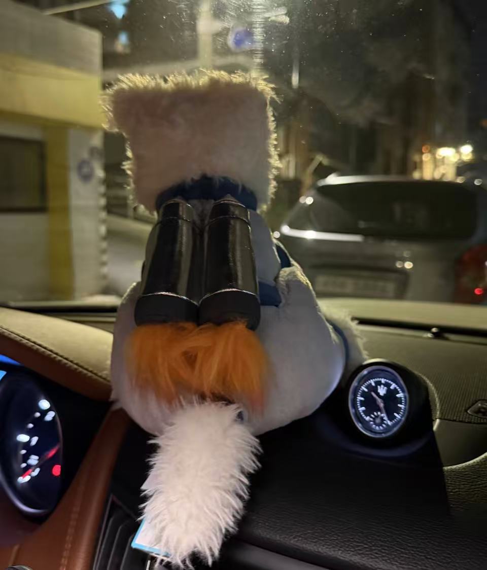 コレクション1;