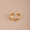 One size small design fashionable universal ring with pigtail, Amazon, suitable for import, simple and elegant design