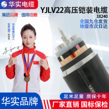 国标YJLV22铝芯绝缘钢带铠装高压电缆工地项目工程使用电力电线