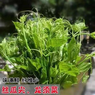 �z�ϼ�N��ʳ�ùϼ�N�ь�������ϼ��Ϲϼ���N���߲���