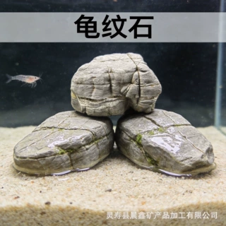 龟纹石鱼缸造景石头摆件沙漠造景盆景微景观假山石头乌龟晒背石头