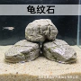 景观沙漠假山乌龟造景