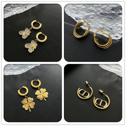 Titanium Steel Earrings Women's Korean Fashion Commuting Stainless Steel Ear Studs European and American Earrings New Style 