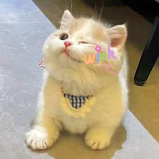 &mdash;&mdash;&mdash;&mdash;&mdash;С�R�̽���z��q�_���ļ��ɴ�sp26127a