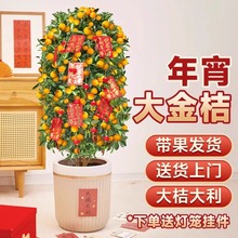 ��ۘ������������͏d���;Gֲ���Ә��玧���l؛��ʳ���ļ����B��