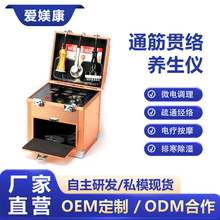 工厂直销多功能养生仪开背通经络排酸排湿电疗仪生物电理疗仪批发
