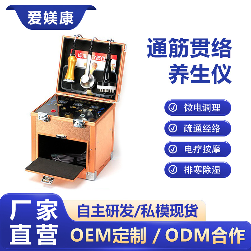 工厂直销多功能养生仪开背通经络排酸排湿电疗仪生物电理疗仪批发