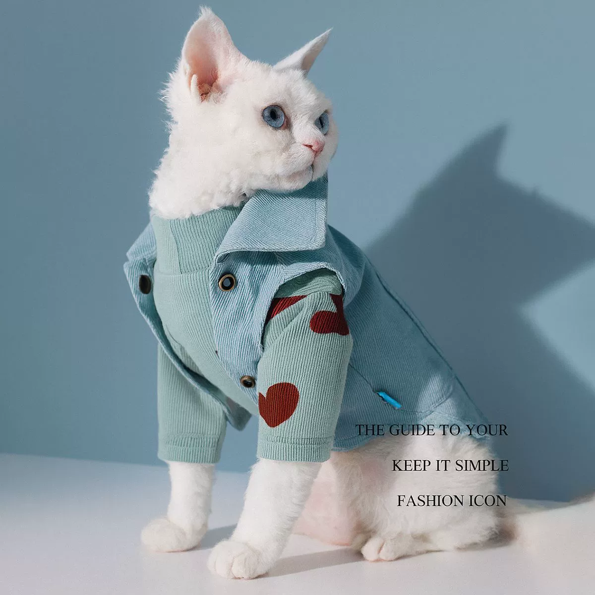 В наличии, популярная одежда для щенков и кошек, прямые продажи с фабрики, стильный джинсовый комплект: куртка и базовая рубашка, оптом.