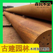 ������ľ�O�����ľ������������ľ�a�^��œ����Ӳľ���}��t��ľ