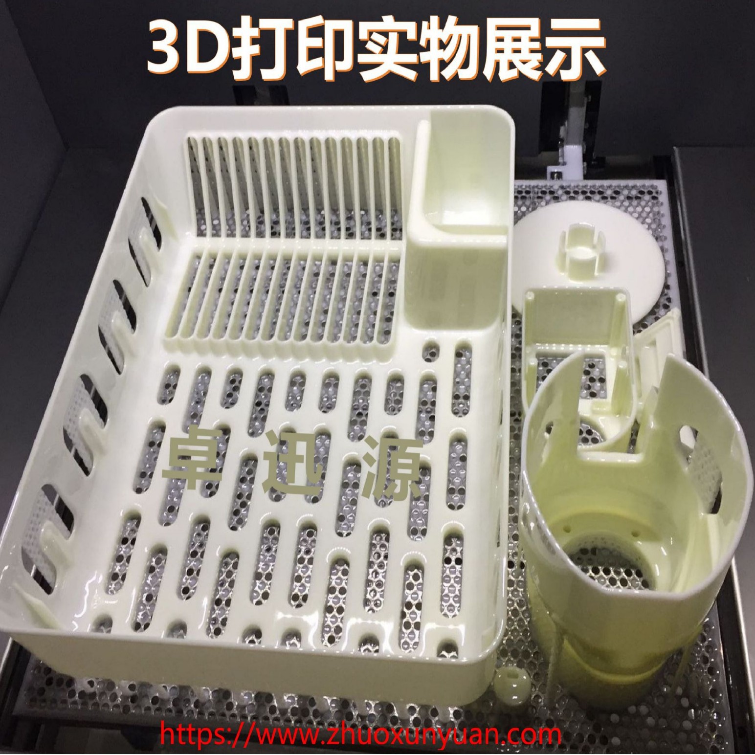 2025-03-10 10:50:37.jpg