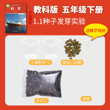 种子发芽实验五年级下册小学科学小实验材料包套装教材教科版教具