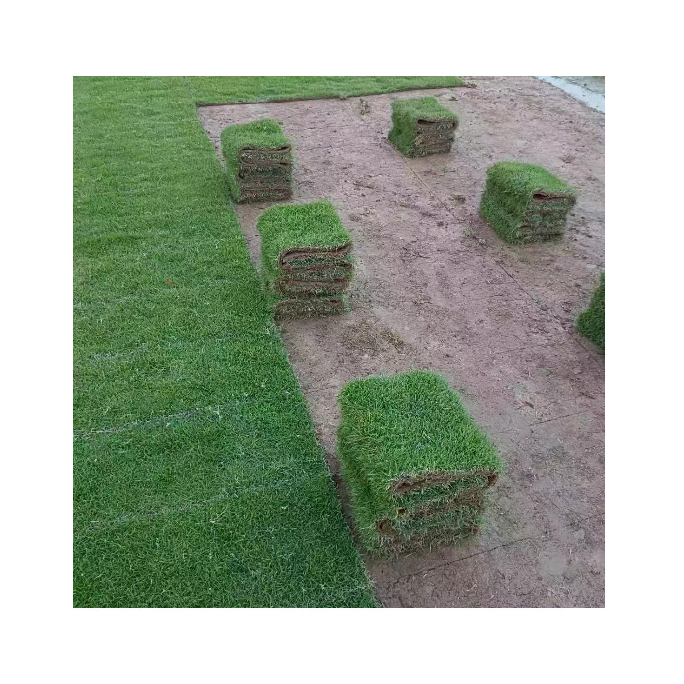 64a50b1b7a1415ba3049a96ab09f85