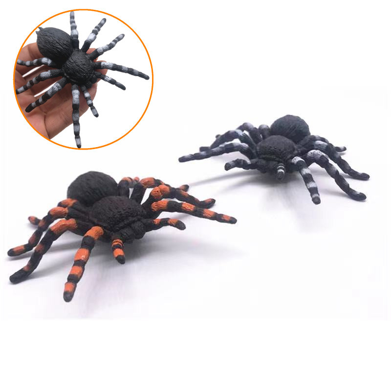 22466751725_326025122_副本