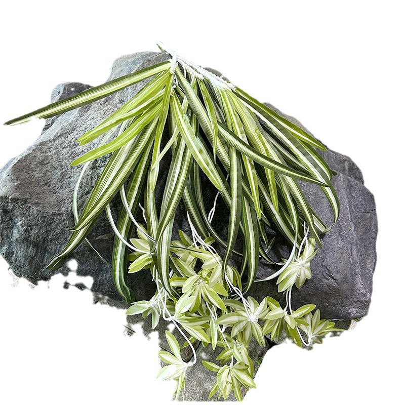 Simulación de plantas verdes Simulación de Phnom Penh Sensación de plantas de hierba araña Pared decorativa Simulación de plantas Decoración de césped falso