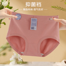 10A����͸���dŮ��ѝ2025�¿��H�w����������������μ�������ѝ