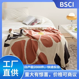 线毯;靠垫/抱枕;绒毯