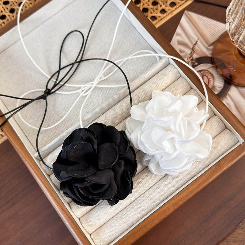 2024_03_22_15_41_IMG_3548