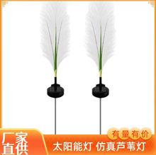 �¿�̫����JȔ��ͥԺ�����b����@��ˮ��ƺ����β�Ͳݟ��ز��