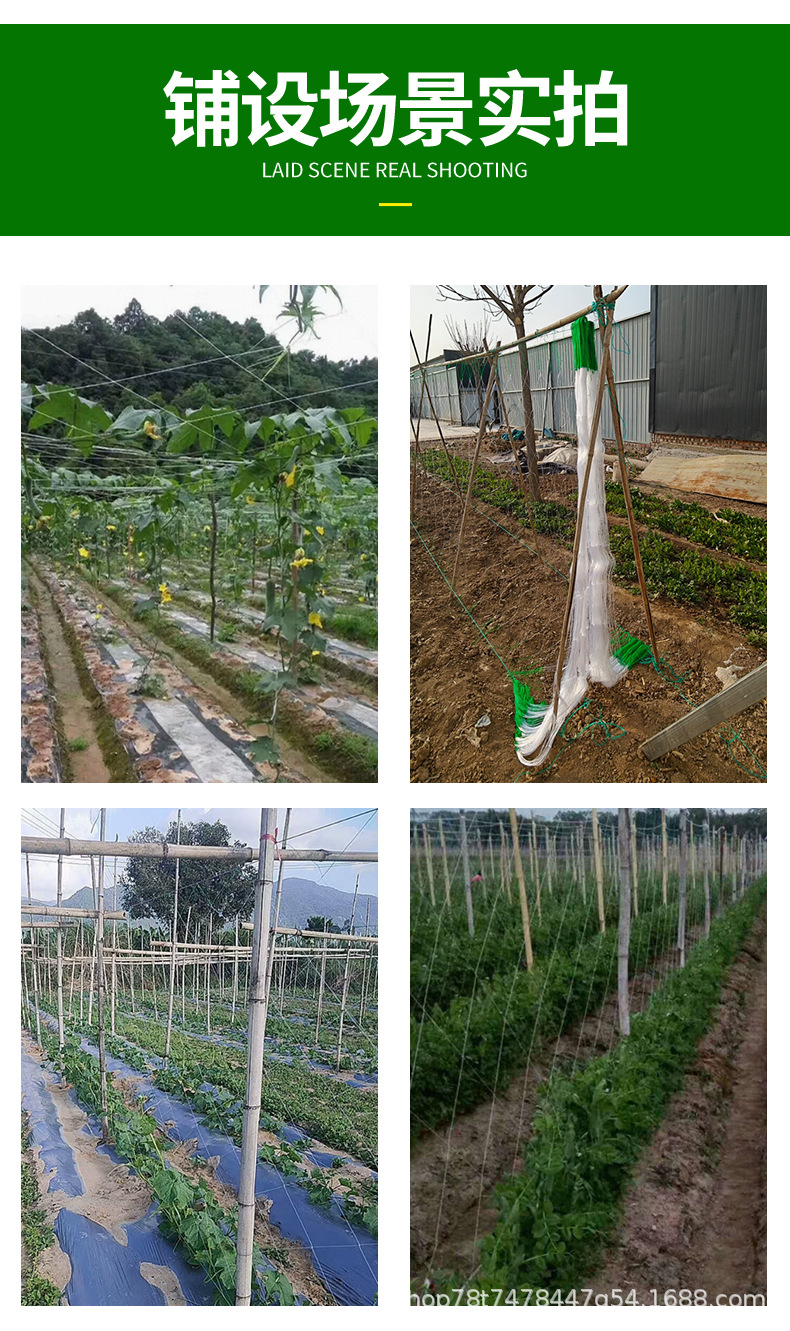 浩达塑业爬藤网_08.jpg